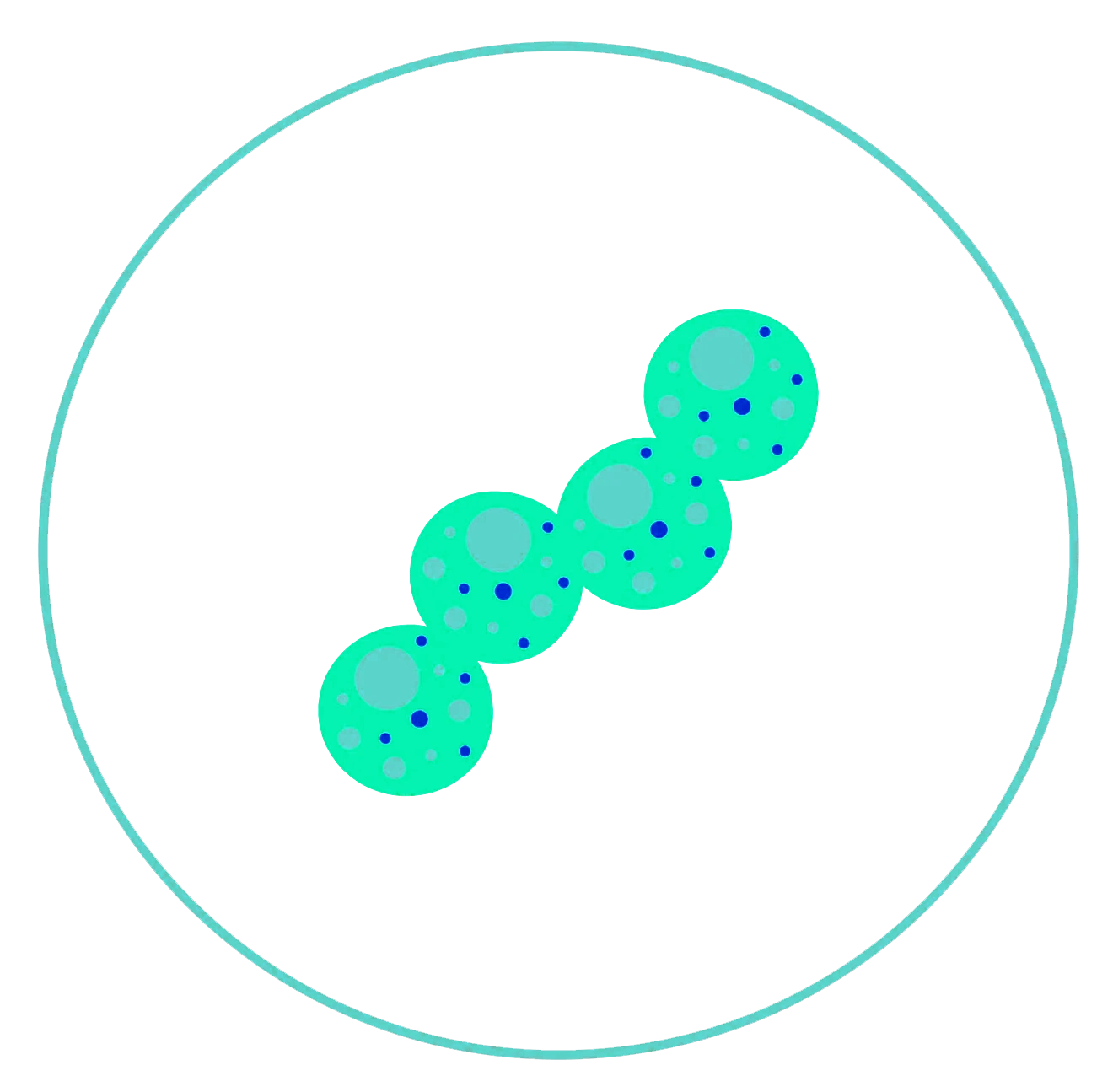 Chlamydia trachomatis