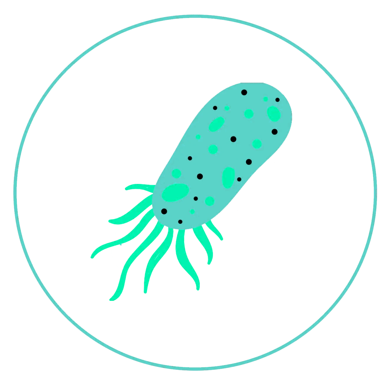 Mycoplasma hominis (nur STI XXL)