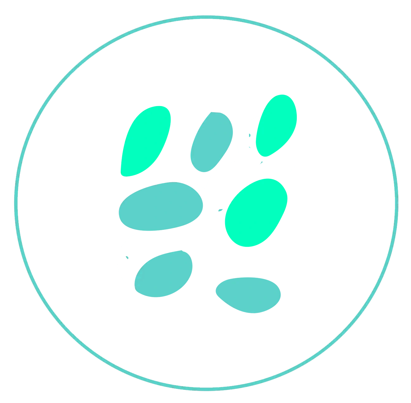 Mycoplasma genitalium